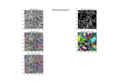 ../_images/sphx_glr_plot_isbi_2012_multicut_2D_simple_thumb.png